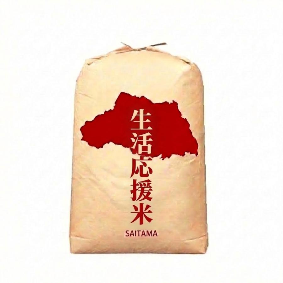 丸増米屋 ブレンド 生活応援米 白米 30kg 30キロ 1袋 未検査米 送料込 お米30キロ 白米 30kg 生活応援米 コスパ米 30kg1袋 【コスパ30-1