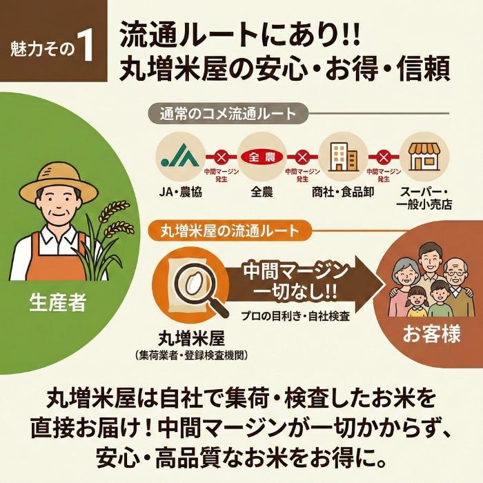 お米30キロ 白米 30kg 生活応援米 コスパ米 30kg1袋 【コスパ30-1