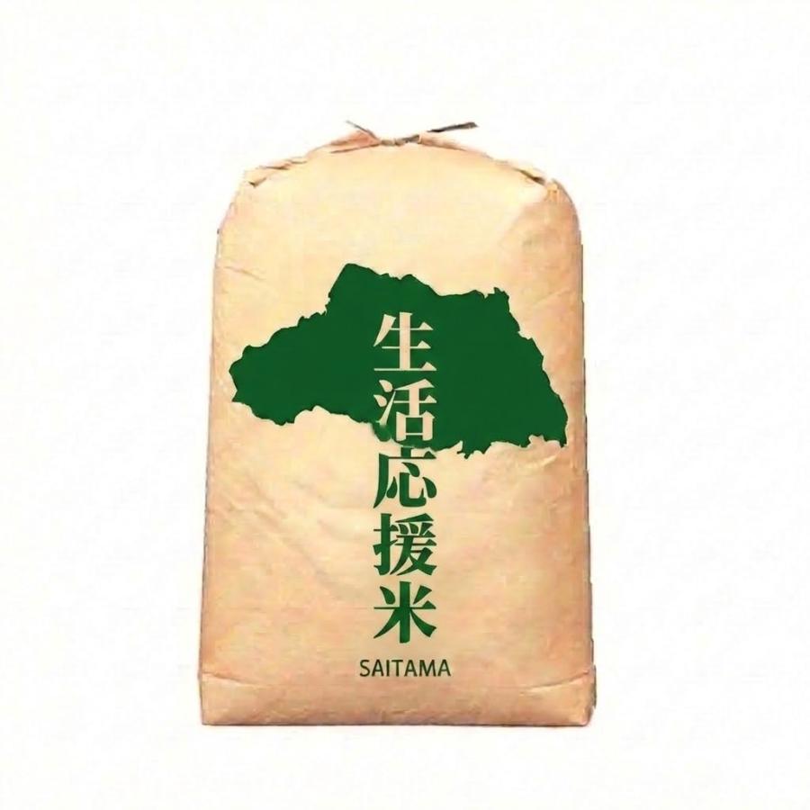 お米30キロ 白米 30kg 生活応援米 コスパ米 30kg1袋 【コスパ30-1 