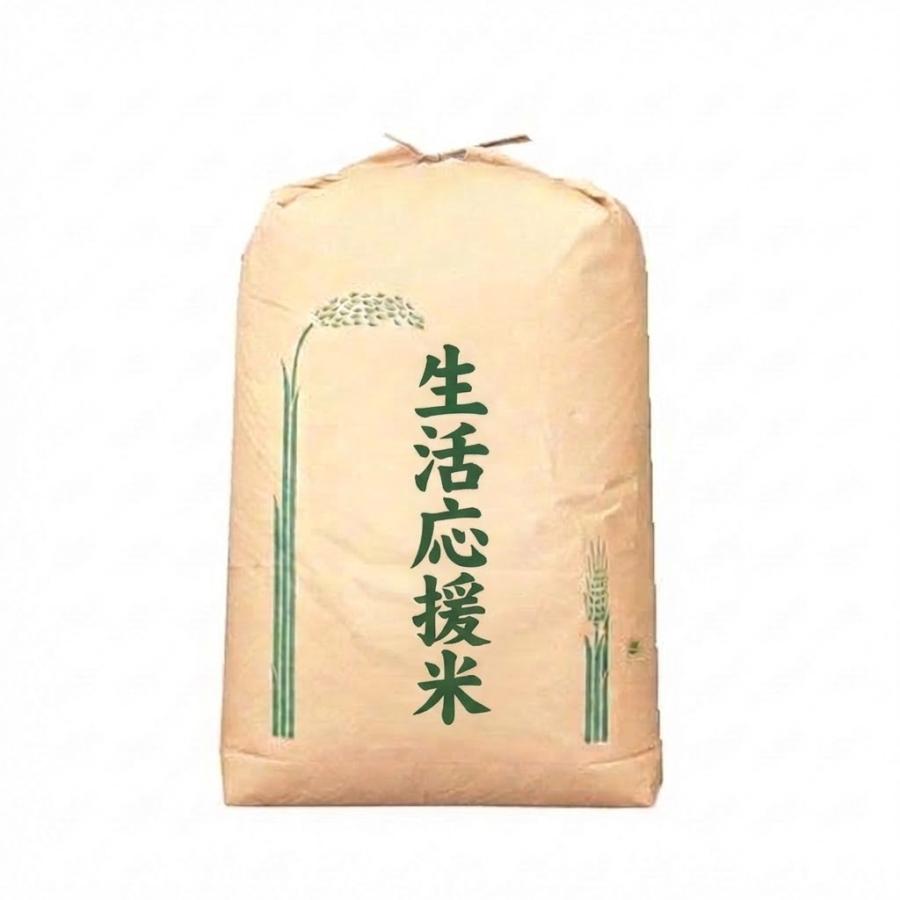 お米30キロ 白米 30kg 生活応援米 コスパ米 30kg1袋 【コスパ30-1 