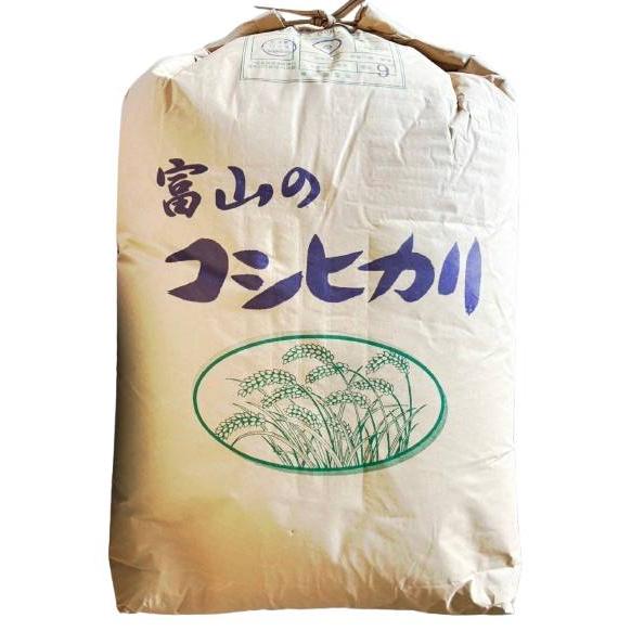 富山コシ玄米30kg】大粒米 令和6年度 富山県産 検査一等米 コシヒカリ 