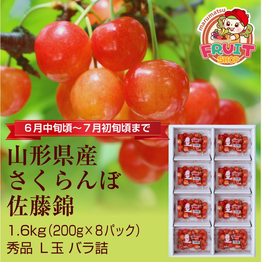 送料無料】予約 6月上旬発送予定 ギフト さくらんぼ 佐藤錦 山形県産