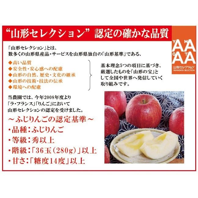 りんご サンふじ 送料無料 山形県 朝日町産 3kg（8-10玉） いずみ 山形