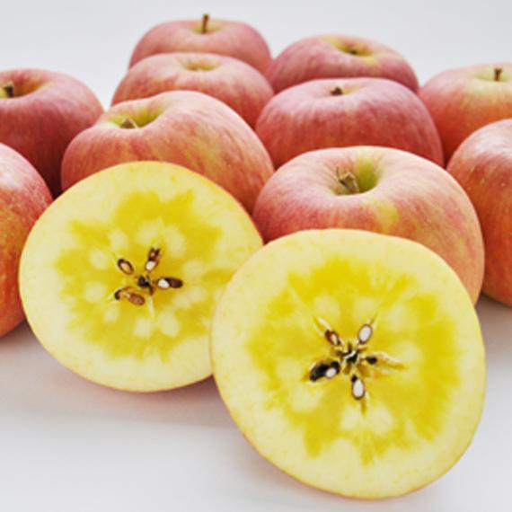 前払い不可】激レア蜜入りりんご！ 山形県朝日町産 高徳 2kg 6-12玉