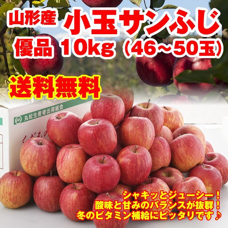 りんご サンふじ 送料無料 山形県産 小粒 優品 10kg（46-50玉入） ※小