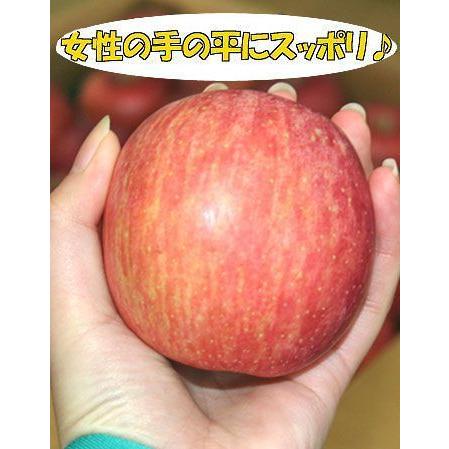 りんご サンふじ 送料無料 山形県産 小粒 優品 10kg（46-50玉入） ※小