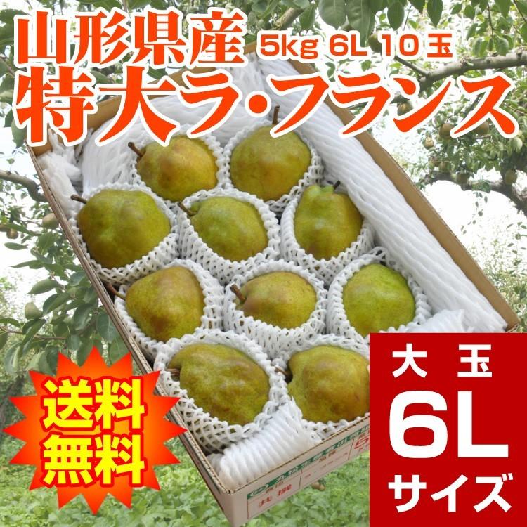 ギフト ラ・フランス 送料無料 洋梨 山形県産 5kg（10玉入） 特大 6L