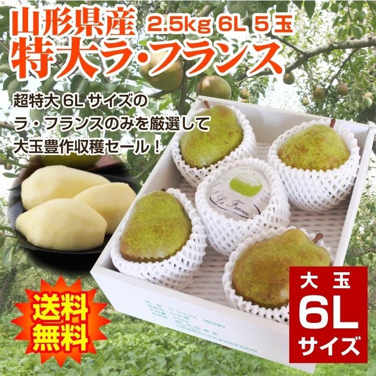 ギフト ラ・フランス 送料無料 洋梨 山形県産 2.5kg（5玉入