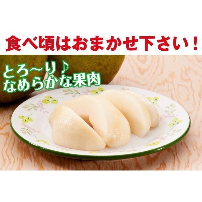 【前払い不可】ギフト ラ・フランス 送料無料 洋梨 山形県産 2.5kg（5玉入） 特大 6Lサイズ ラフランス｜marumatsu｜04