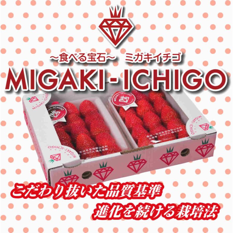 いちご フルーツ ミガキイチゴ 2L（320g×2パック）宮城県産 送料無料