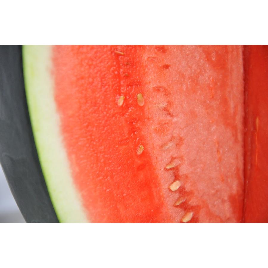 ギフト すいか 種無し ブラックジャック （6-8kg）秀品 1玉 山形県産