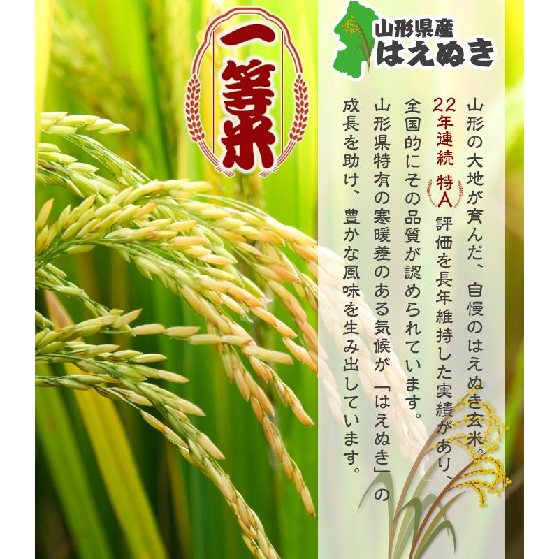 令和6年山形県産はえぬき玄米あ はえぬき 令和6年産 新米