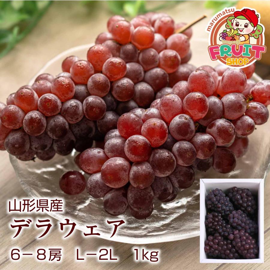 送料無料】予約 山形県産 デラウェア 約1kg（箱込み） 5-8房入 L-3L