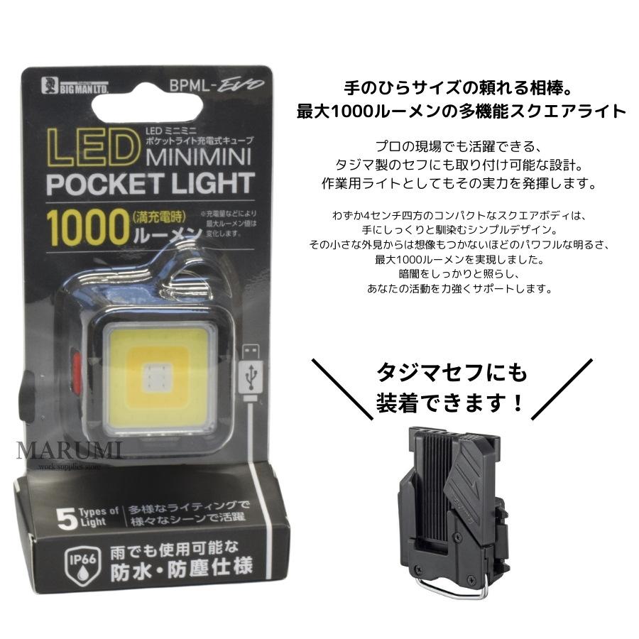 Tajima（タジマ） BIGMAN ビッグマン 小型 LED ミニミニポケットライト