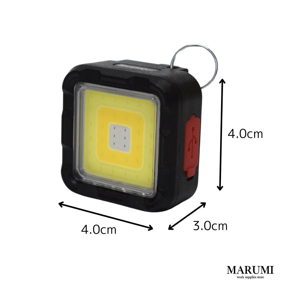 Tajima（タジマ） BIGMAN ビッグマン 小型 LED ミニミニポケットライト