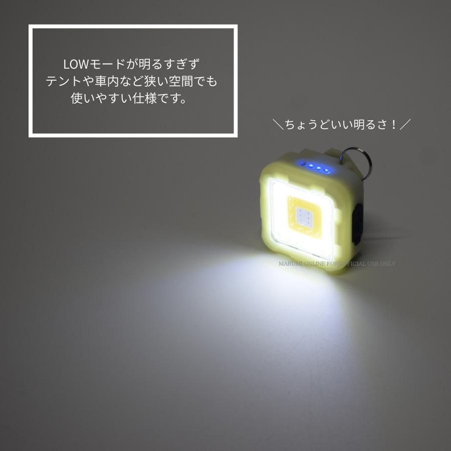 Tajima（タジマ） BIGMAN ビッグマン 【蓄光】 小型 LED ミニミニ