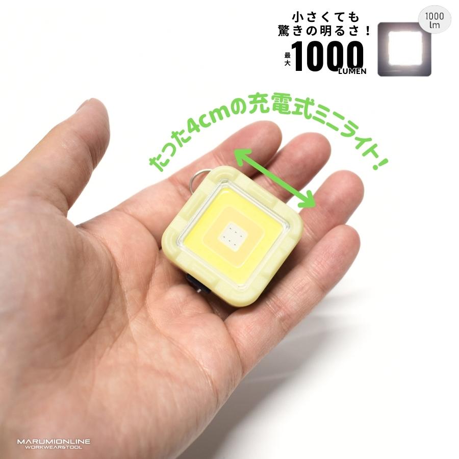 BIGMAN ビッグマン 【蓄光】 小型 LED ミニミニポケットライト充電式
