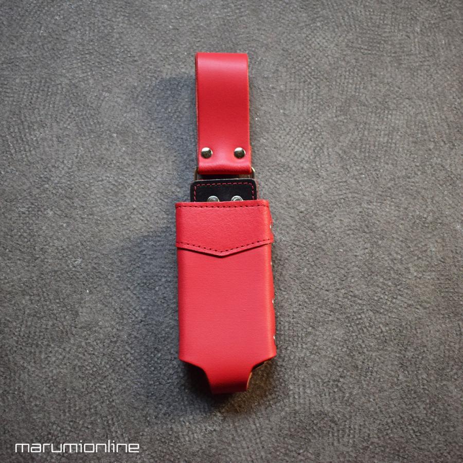 マルチケース* wc21_multicasebl.jpg