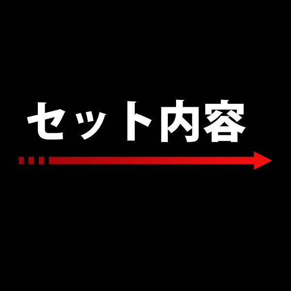 【タイタン TITAN】新規格フルハーネス型安全帯[リコロ2コセット] HORIZON(ホライゾン)  墜落制止用器具 サンコー ランヤード [丸美衣料]｜marumi-iryo｜04