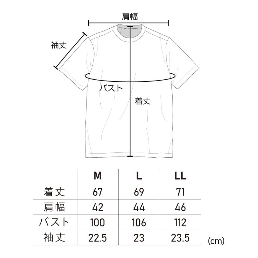 数量限定 PUMA×ヒロミ コラボ FREELY//H プーマ 半袖Tシャツ PW-3053G