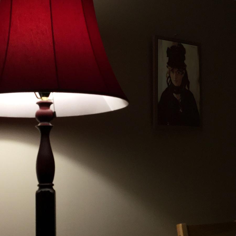 ランプシェード スタンド交換用 アーム式 直径50cm バックサテン