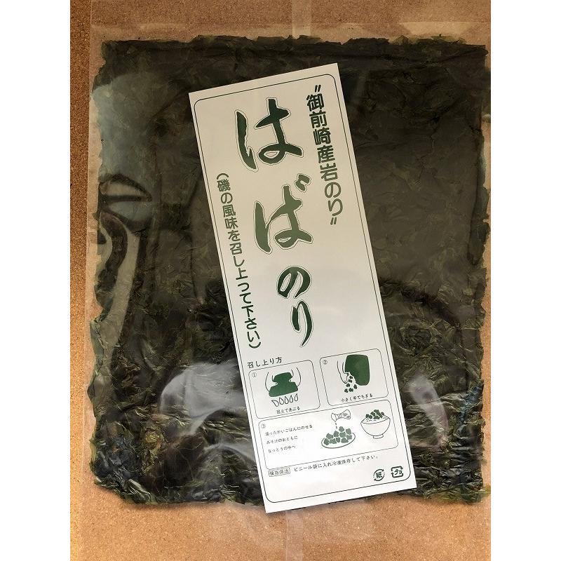 御前崎産 はば海苔 （はばのり） 大判一枚 : 丸宮海産ヤフー店 - 通販
