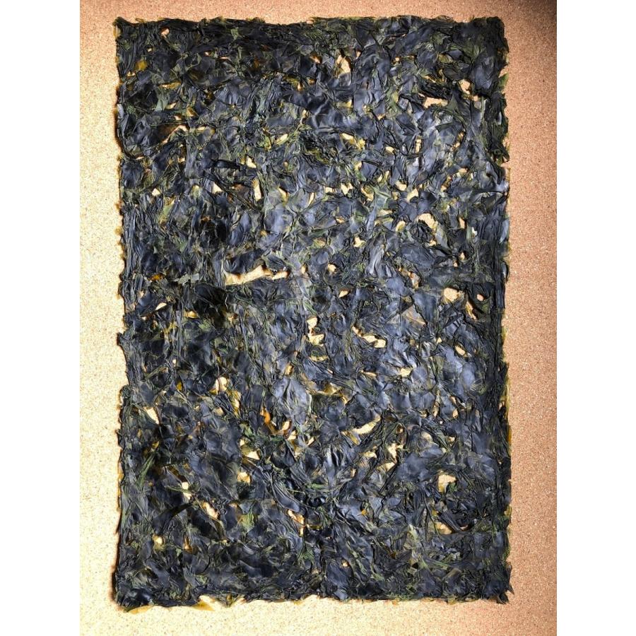 御前崎産 はば海苔 （はばのり） 大判一枚 : 丸宮海産ヤフー店 - 通販