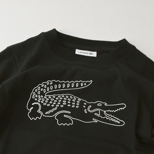 ラコステ ボーイズスリーブプリントロングスリーブTシャツ キッズ 長袖Tシャツ LACOSTE 4025062 TJ9744L-10Amm メール便可｜marumiya-world｜04