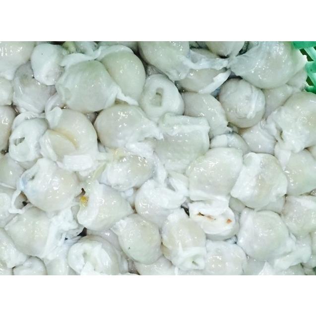 【イカ専門店】紋甲いか　トンビ　（クチバシ取り）１ｋｇ　国内加工　A01621 | マルモ食品