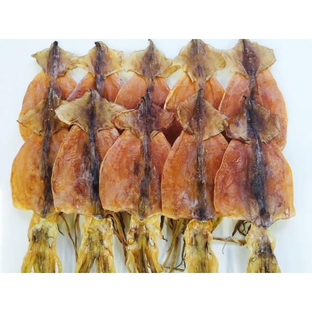 北海するめ１０枚入（約３２０ｇ）　北海道産！　【ネコポス便で送料無料！】スルメ | マルモ食品