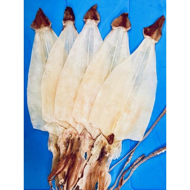 剣先するめｌサイズ ５枚入 約２２５ｇ ネコポス便にて送料無料 046 マルモ食品 通販 Yahoo ショッピング