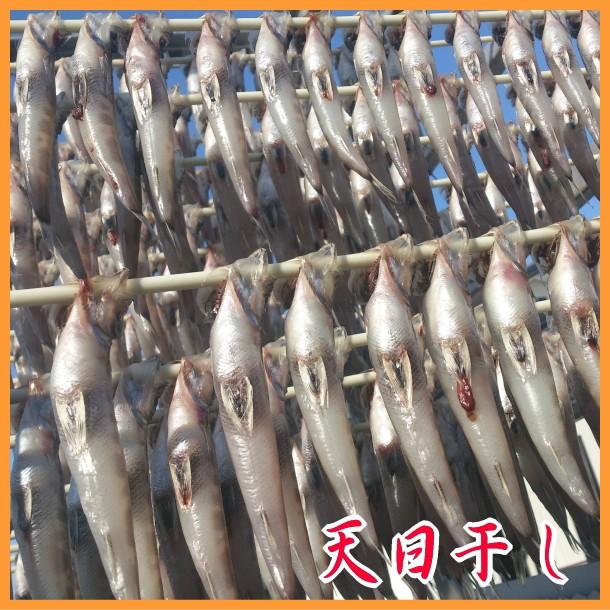 めひかり丸干し 0ｇ メヒカリ 目光 茨城県大津港産 Himono 005 大津まるむら商店 通販 Yahoo ショッピング