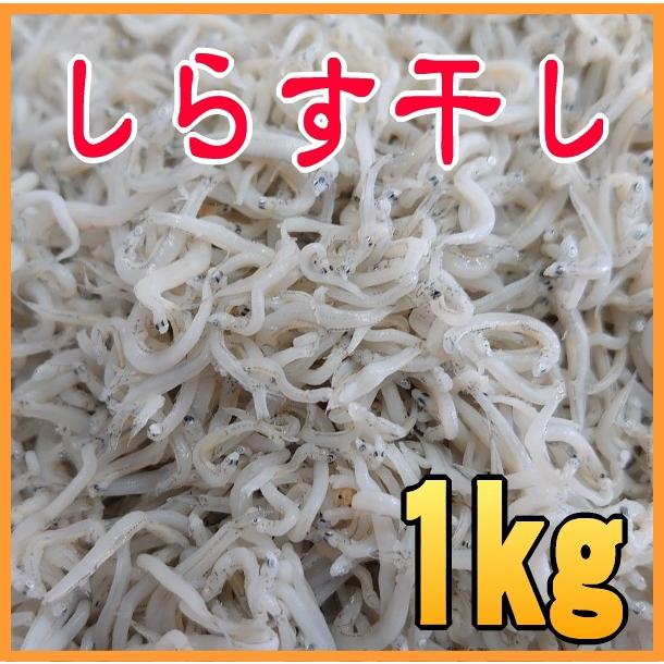 茨城県大津港産 しらす干し1ｋｇ Shirasu 001 大津まるむら商店 通販 Yahoo ショッピング
