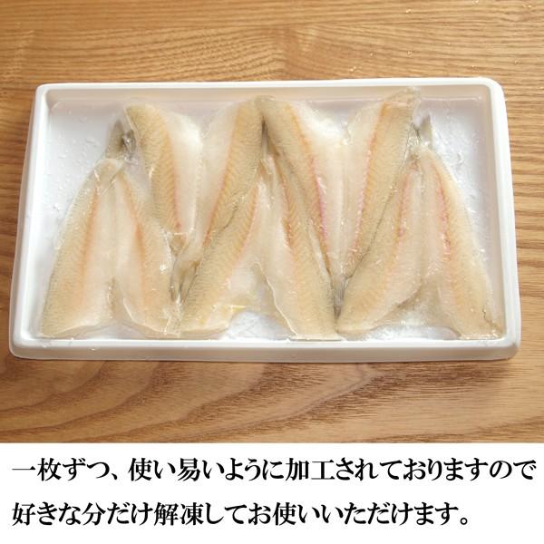 送料無料 冷凍キス開き 30尾入10ケース300尾 |  | 02