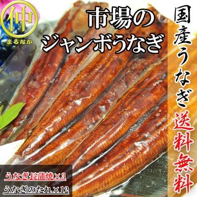 市場のジャンボうなぎ（うなぎ長蒲焼約200ｇ×3）   国産　土用の丑の日　送料無料 うなぎ |  | 01