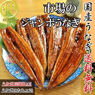 市場のジャンボうなぎ（うなぎ長蒲焼約200ｇ×5）   国産　土用の丑の日　送料無料 うなぎ | 