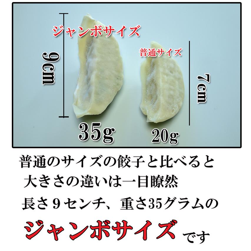 餃子 取り寄せ 冷凍餃子 宇都宮栄久餃子 市場のジャンボ餃子 30個 1粒35ｇ 送料無料 |  | 01