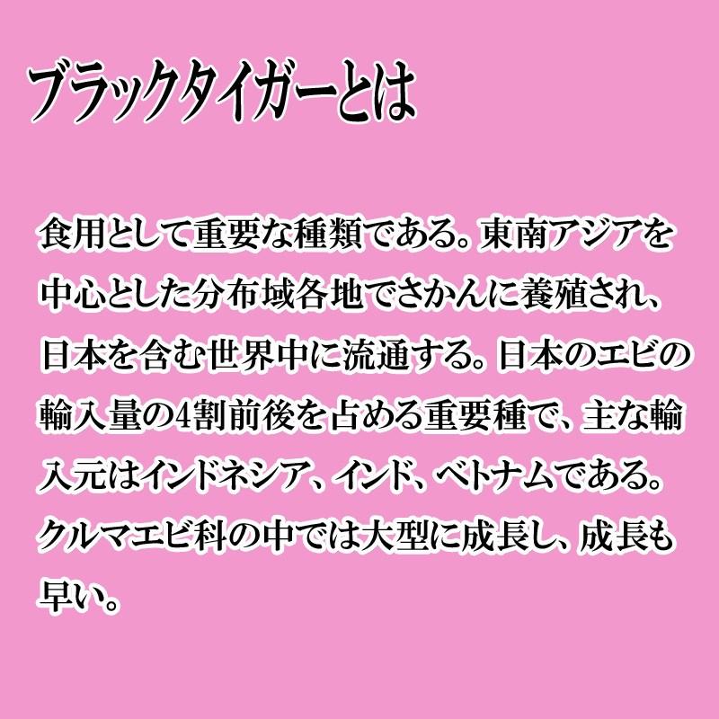 海鮮 えび ブラックタイガーエビ　13/15サイズ |  | 02
