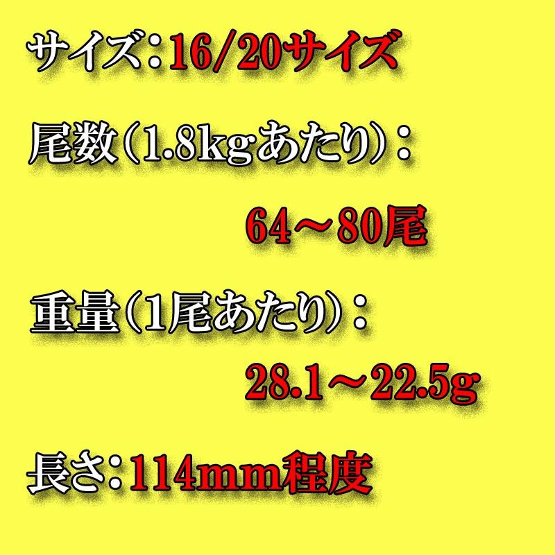 海鮮 えび ブラックタイガーエビ　16/20サイズ |  | 01