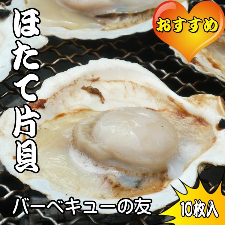 ほたて片貝　10枚　 | 