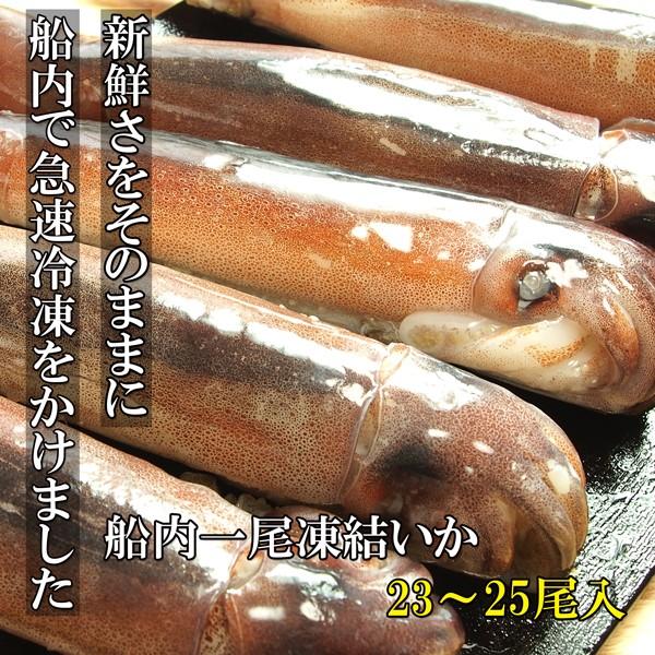 船内一尾凍結いか23〜25尾 するめいか | 