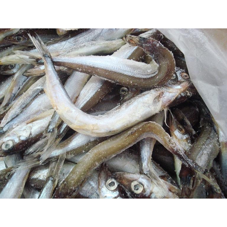 市場 ”カラフトししゃも 訳あり 約2kg ” カラフトシシャモ オス 市場 ”カラフトししゃも 訳あり 約2kg ” カラフトシシャモ オス