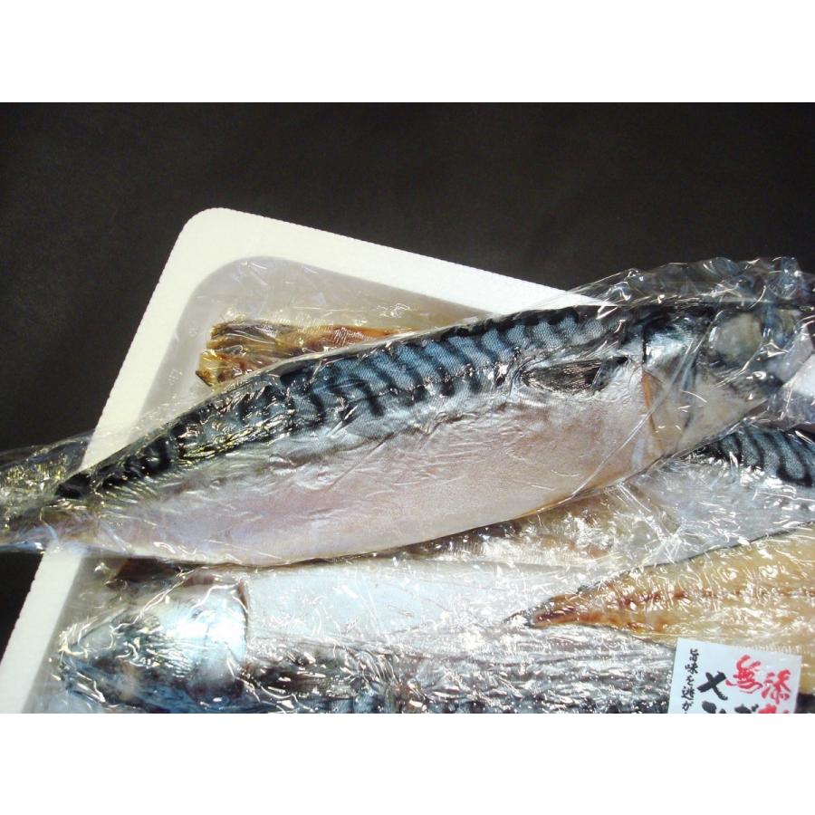 さば一夜干し銚子製造5枚 さば文化干し サバ 鯖 Saba03 おいしい明太子 築地丸中 通販 Yahoo ショッピング