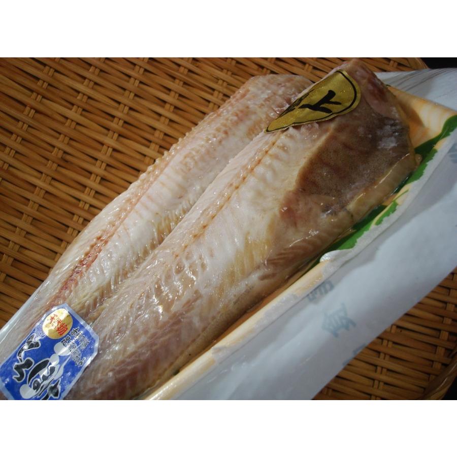 築地丸中 しまほっけ開き（極上肉厚）1枚！シマホッケ 縞ほっけ
