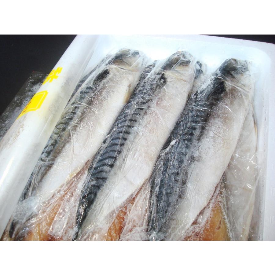 さば文化干し14枚 銚子製造 サバ文化干し 鯖文化干し さば サバ Tss023 おいしい明太子 築地丸中 通販 Yahoo ショッピング
