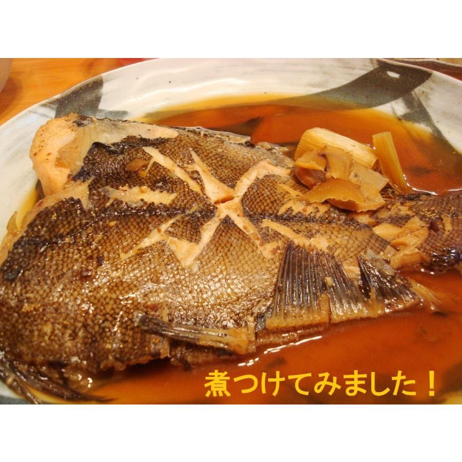 子持ちたっぷり特大カレイ3枚入り かれい カレイ かれい Tss072 おいしい明太子 築地丸中 通販 Yahoo ショッピング