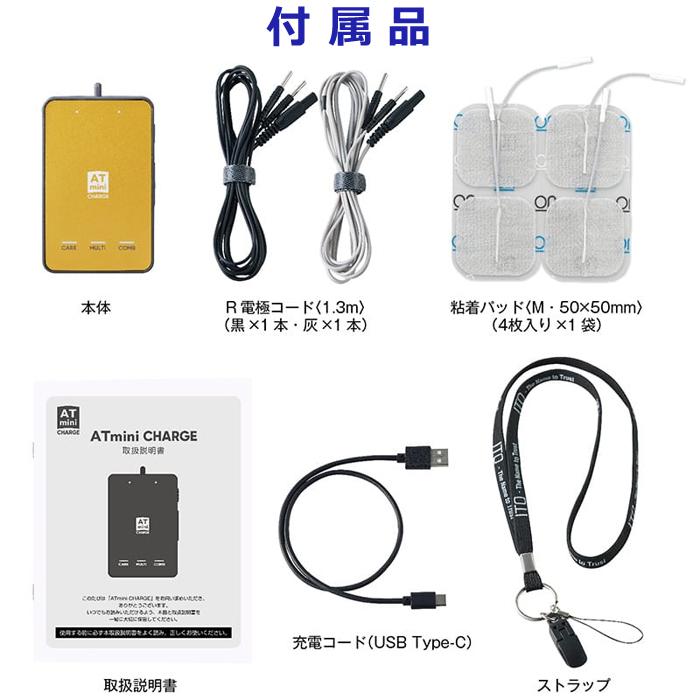 伊藤超短波 AT-mini CHARGE エーティーミニ チャージ 本体セット コンディショニング機器 ポータブル・マイクロカレントの画像