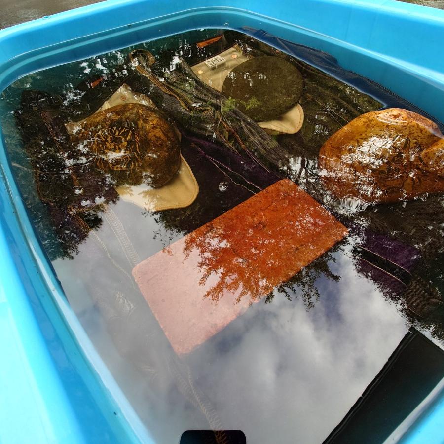 毘沙門天 14.5oz天然藍ロイヤルパープルデニム ファスナーモデル / BI-18-ZIP IND×PP (レギュラーストレート) | 毘沙天ジーンズ | 12