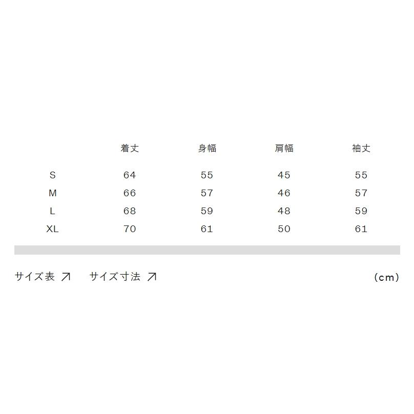 【正規取扱店】THE NORTH FACE / スクープジャケット（レディース）NPW62554の画像