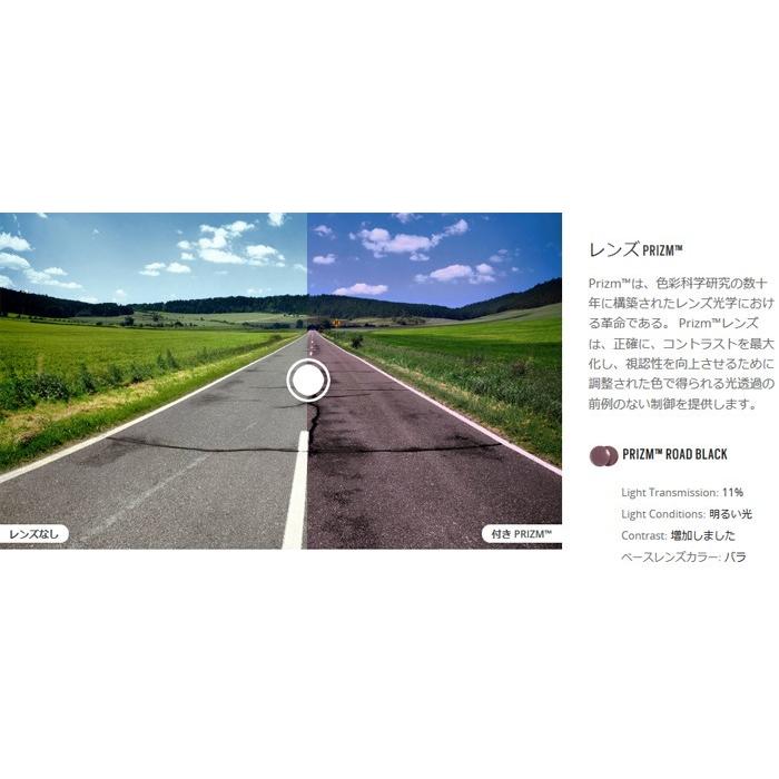 OAKLEY　フライトジャケット　プリズムブラック Flight Jacket オークリー フライトジャケット 102-899-014 ハイ